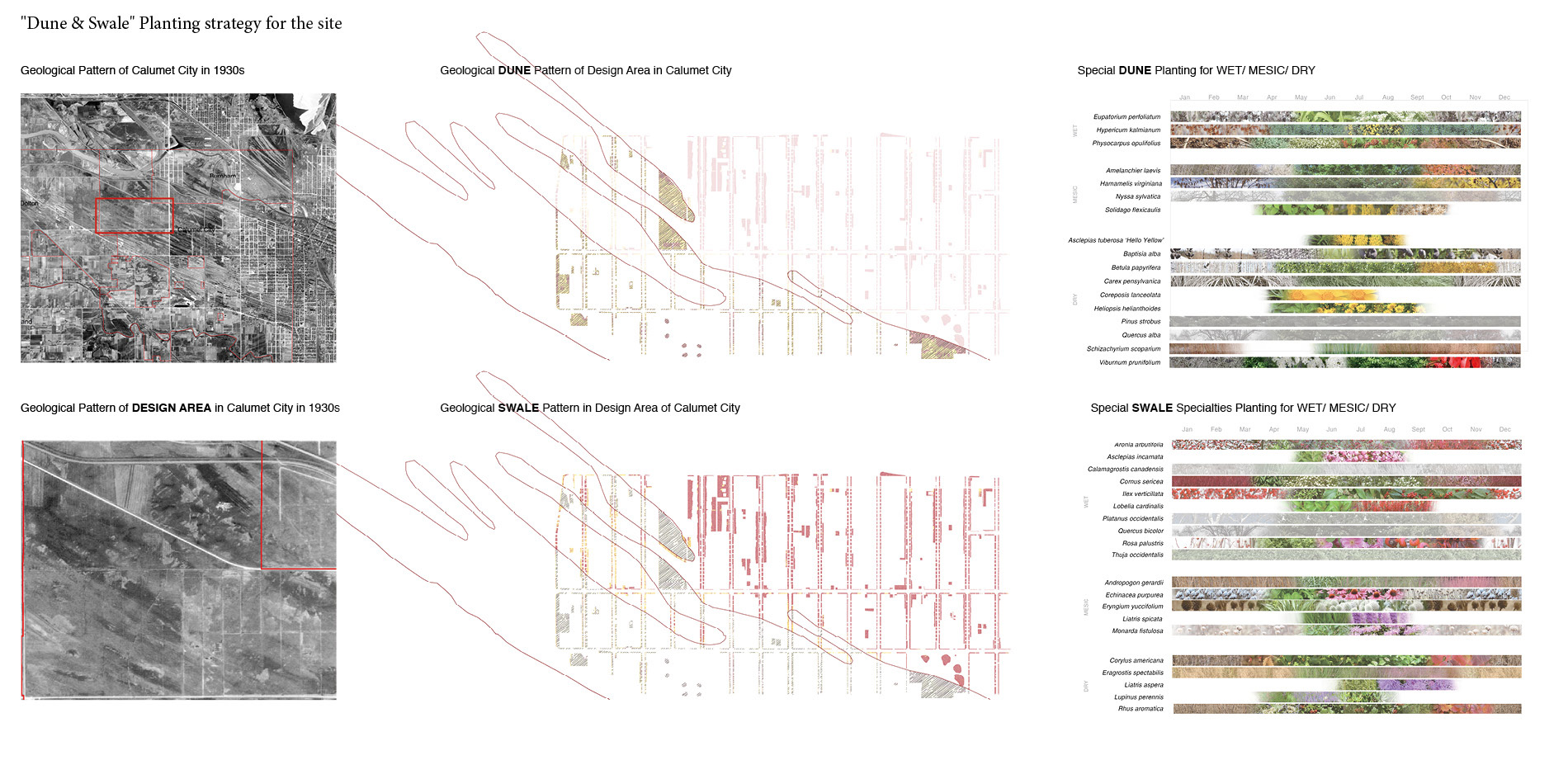 "Dune & Swale" Planting Strategy for the site