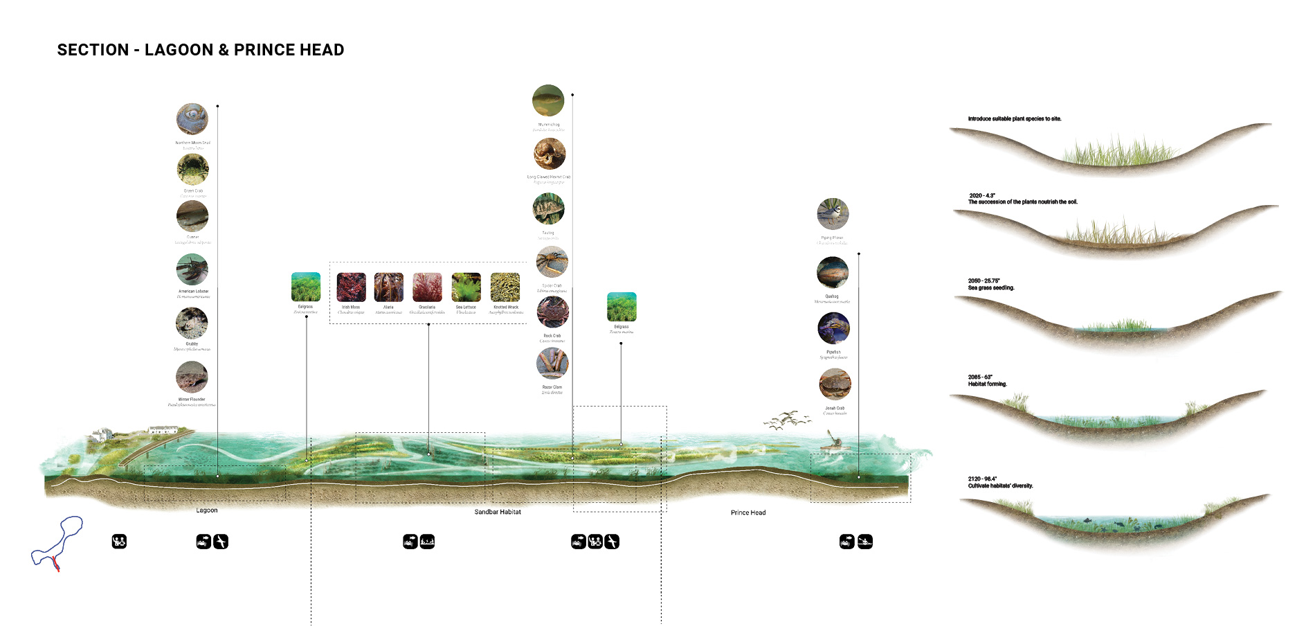 Habitat vs. Landform  - Section 2