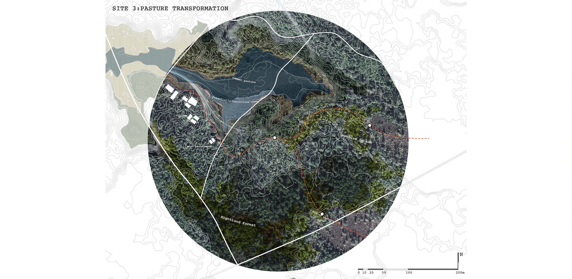 Site 3 Pasture Transformation