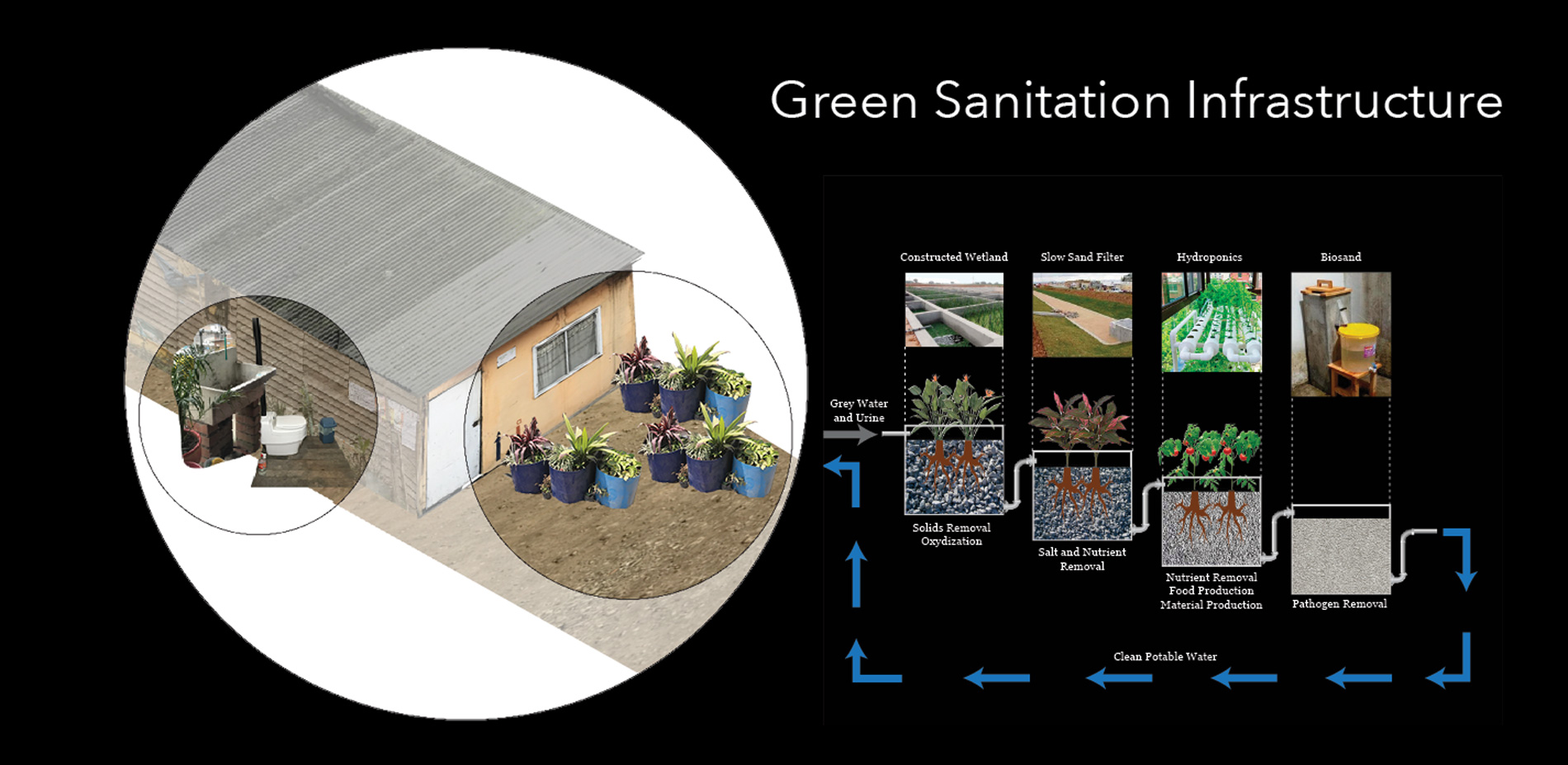 Sanitary greenspace for the home