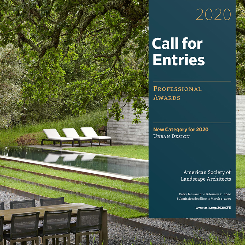 2020 Call for Entries - Professional Awards
