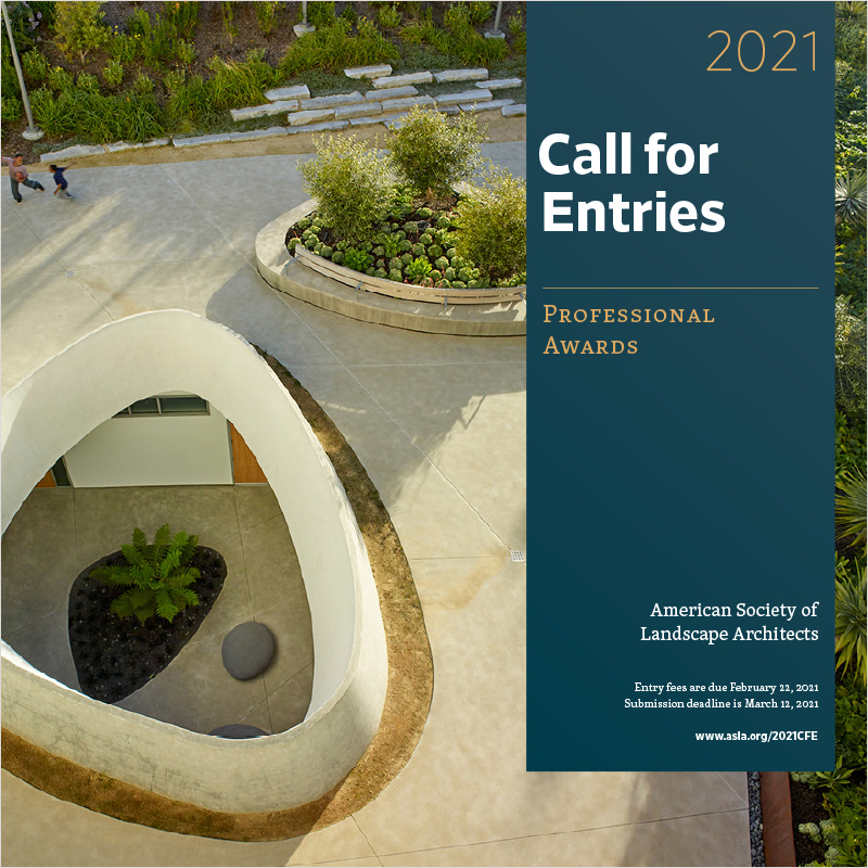 2021 Call for Entries - Professional Awards