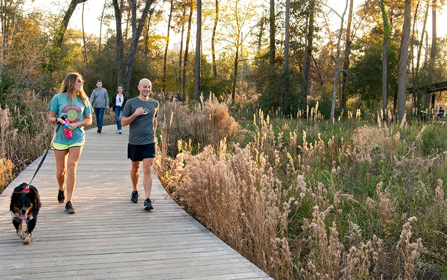 Arboretum