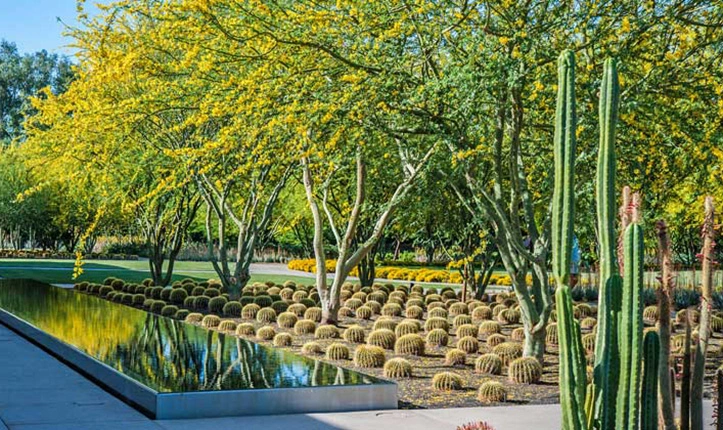  Sunnylands Center & Garden / Coachella Valley Water District