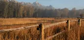 STEWARDSHIP OF CONSERVED LANDS