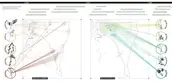 FRAMEWORK PLANS: WEED MANAGEMENT AND RESTORATION ZONES