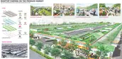 Rooftop Farming On The Produce Market: On-Site Food Production, Sales And Waste Recycling