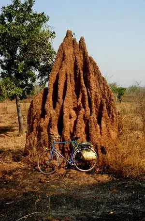 termitehill