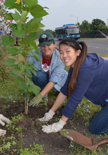 Volunteers plant trees along a highway in Austin, Texas / TreeFolks 