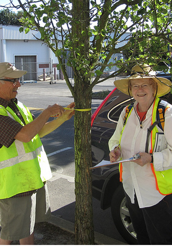 Urban forestry volunteers in Portland, OR / City of Portland 
