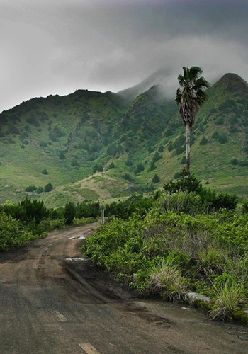 Green Mountain on Ascension Island / Shallow Marine Surveys Group