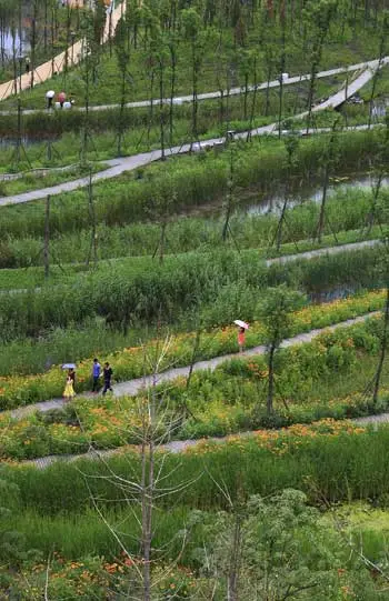 ASLA 2014 Professional General Design Honor Award. Slow Down: Liupanshui Minghu Wetland Park, Turenscape / Kongjian Yu
