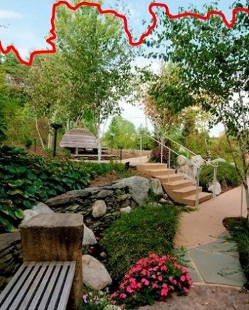 Maximizing vibrancy / MaryCarol Hunter