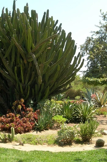 Augustus F. Hawkins Nature Park / Where do the children play Los Angeles