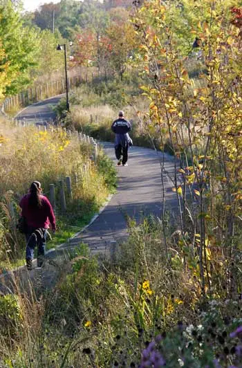 ASLA 2015 Professional General Design Honor Award. Mill River Park and Greenway by OLIN / OLIN, Sahar Coston-Hardy 
