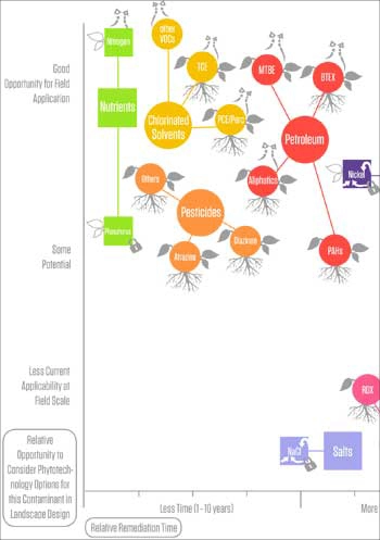 Contaminant organizational chart from Phyto / Offshoots Productive Landscapes