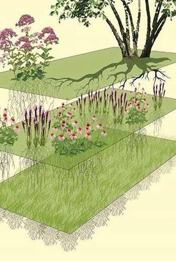 Designed plant communities / Thomas Rainer and Claudia West 