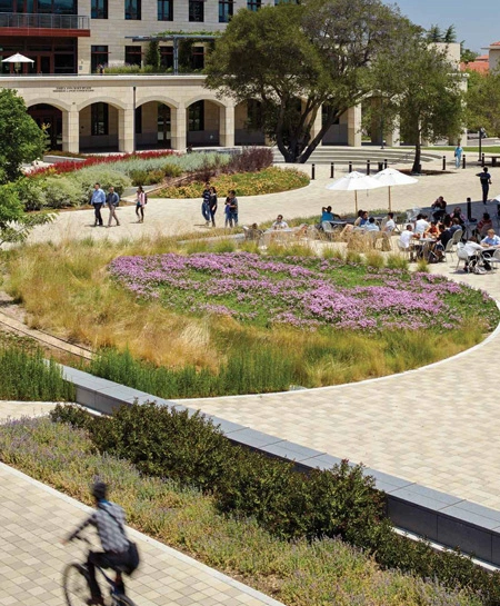 Stanford University campus, California / 