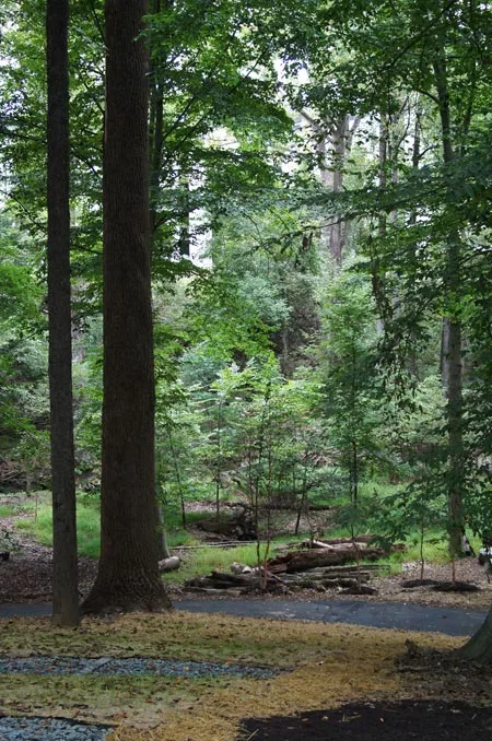 The Green Road / Jared Green