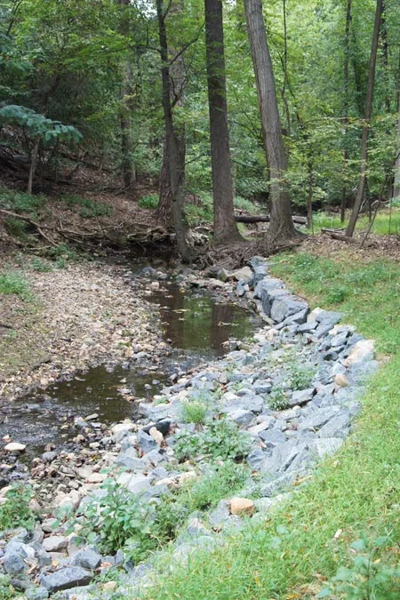 Restored stream / Jared Green