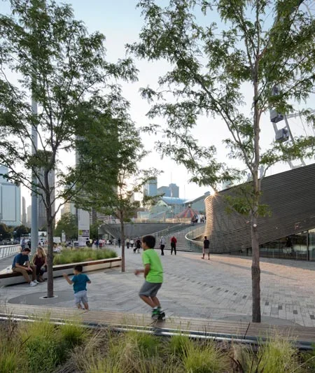 Chicago Navy Pier / Sahar Coston-Hardy