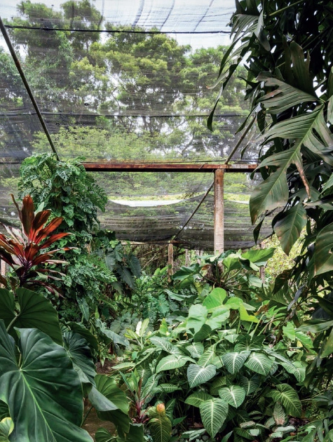 Stitio-Santo-Antonio-2