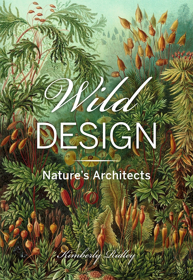 The Beauty of Nature's Functional Designs