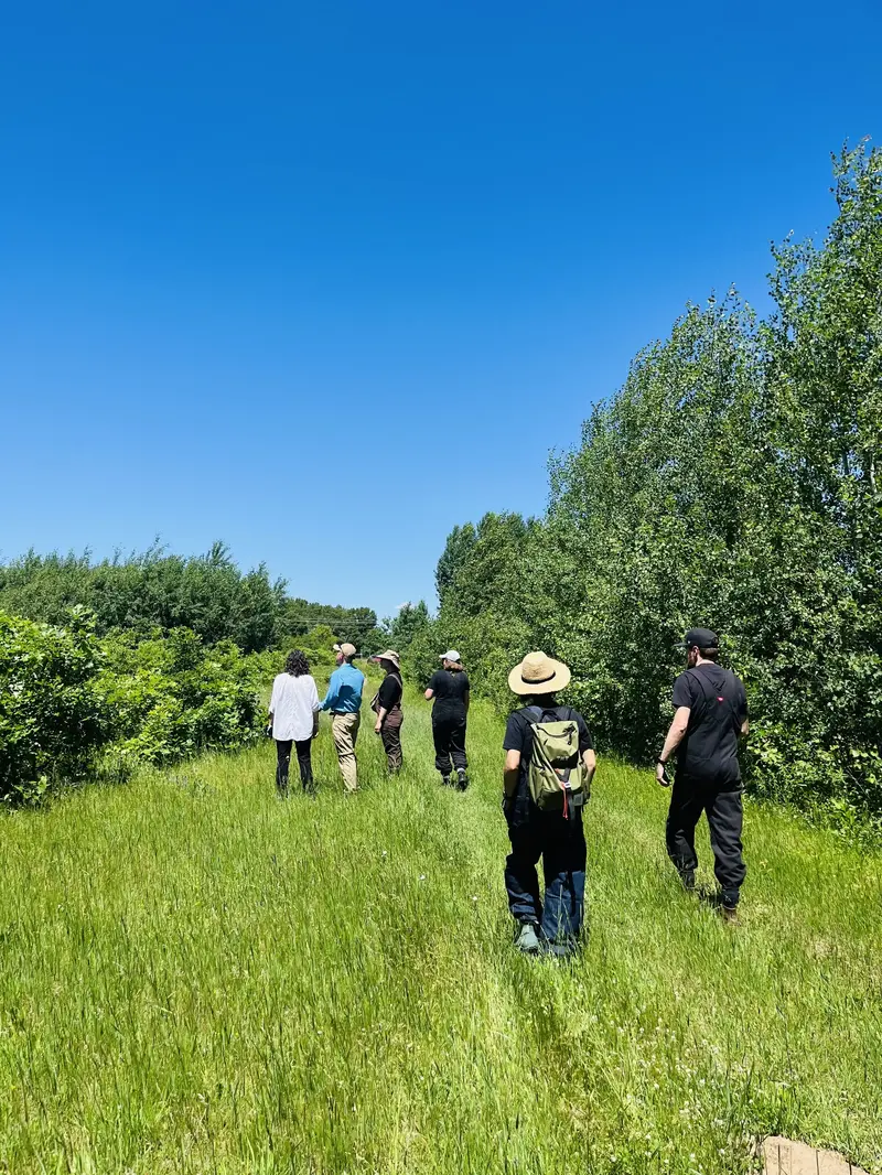 A group of people walking on a grassy path surrounded by lush green trees under a clear blue sky. One person is wearing a wide-brimmed hat and carrying a backpack.
