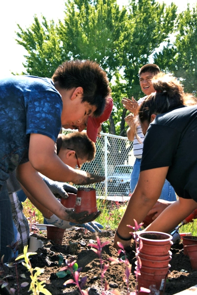 Schmitt Elementary Learning Garden volunteer build image: Lois Brink