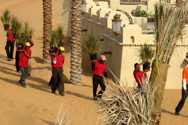 image: Edward Flaherty