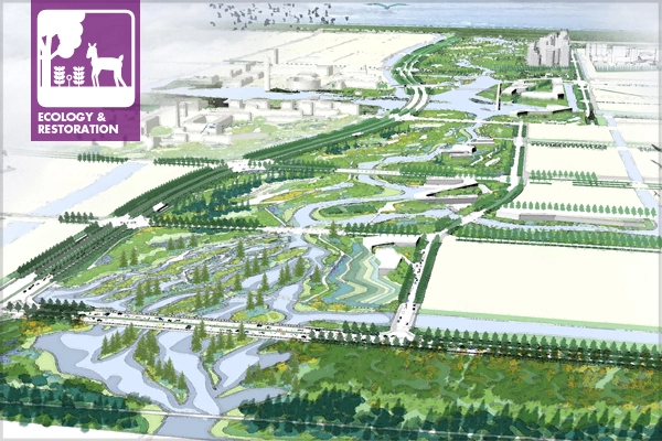The Ningbo Eco-Corridor project transforms an uninhabitable brownfield into a 3.3km-long “living filter” designed to restore a rich and diverse ecosystem, and serve as a valuable teaching tool and model for sustainable urban development.  image: SWA - 2013 Analysis & Planning Honor Award Winner