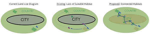 Overall analysis image: Danielle Bilot