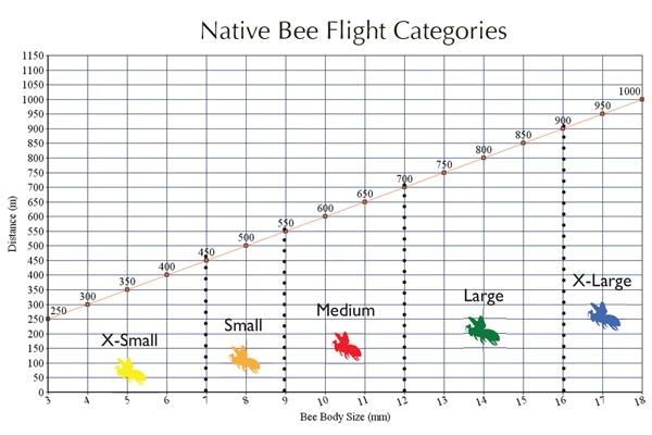 Flight categorizations image: Danielle Bilot