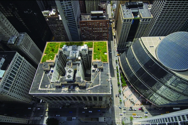 Adding Green to Urban Design - 2011 Analysis and Planning Honor Award Winner Chicago City Hall’s green roof, installed in 2000, has become a symbol of a commitment to sustainability. The building is shared with the county, where no green roof exists, providing a research laboratory for measuring impacts on temperature and air quality. image: City of Chicago and Hitchcock Design Group