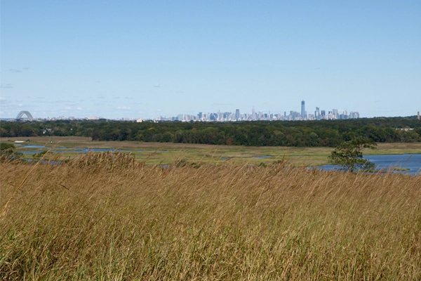 The view from Freshkills Park image: Alexandra Hay