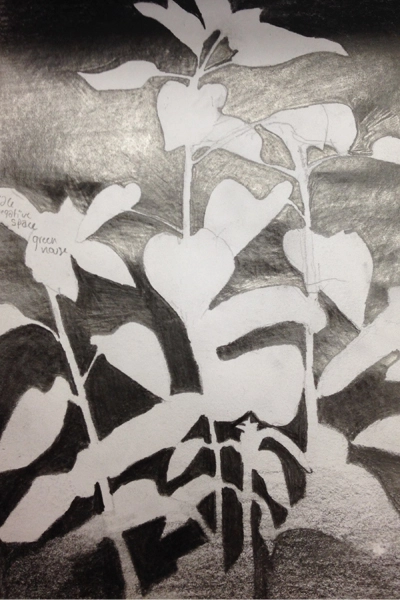 Field sketch, negative space image: Jules Bruck