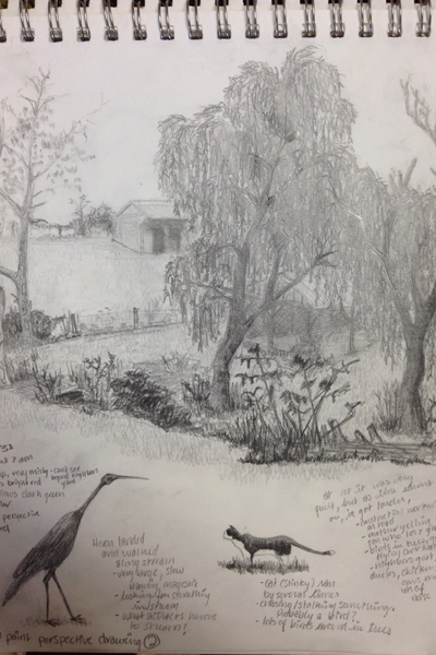 Field sketch image: Jules Bruck
