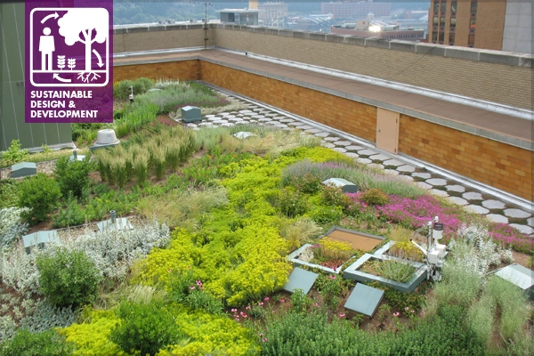 Foreground: intensive green roof and microcosm trials image: John K. Buck, Civil & Environmental Consultants, Inc.