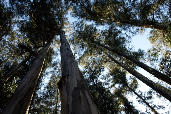 Berkeley, California image: Alexandra Hay