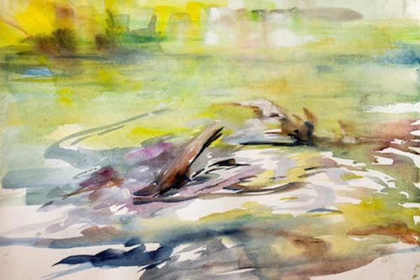 Tourbillon d'eau 20x14 image: Annette Heacox