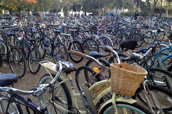 Bike parking image: Robert Segar