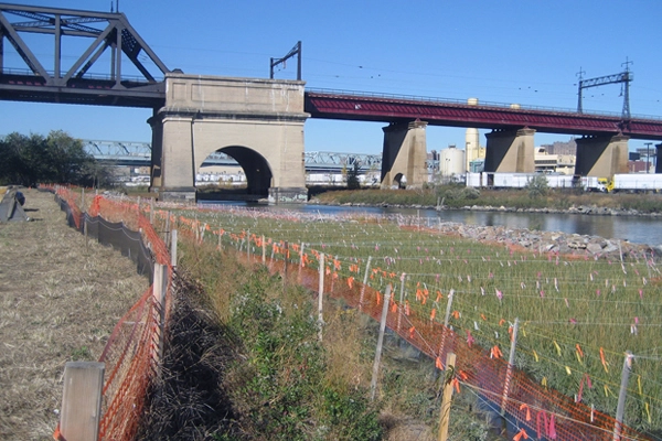 A restored tidal salt marsh on Randall’s Island in New York provides habitat and water quality benefits in an urban setting. image: Great Ecology project team: RGR Landscape, Great Ecology