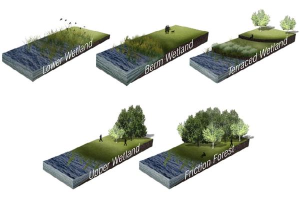 Mixed-Wetland Shoreline  image: John Wray