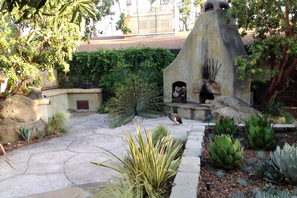 Drought tolerant planting at the Los Angeles Arboretum image: Gary Lai