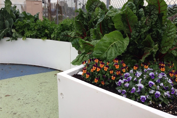 image: The Kitchen Community