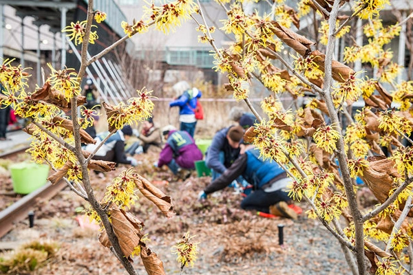 image: Mike Tschappat via Flickr