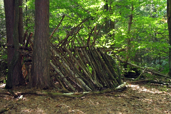 Nature play in the forest image: Lisa Horne