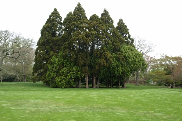 Chateau-sur-Mer image: Alexandra Hay
