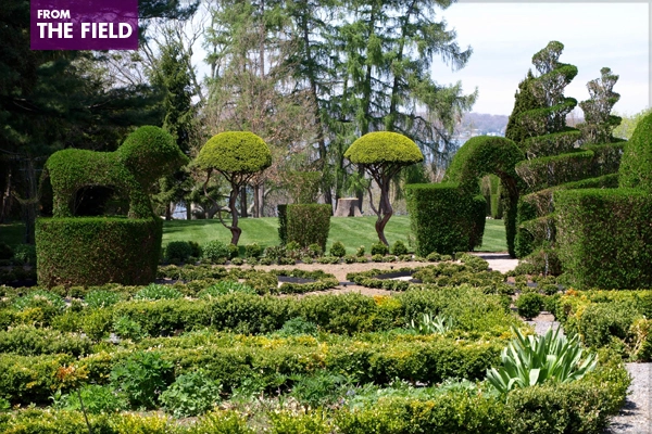 Green Animals Topiary Garden in Portsmouth, Rhode Island image: Alexandra Hay