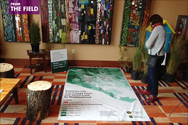 Reimagining the Canopy parklet, sponsored by the U.S. Forest Service, Parks & People, TreeBaltimore, and the Baltimore Office of Sustainability image: Deborah Steinberg